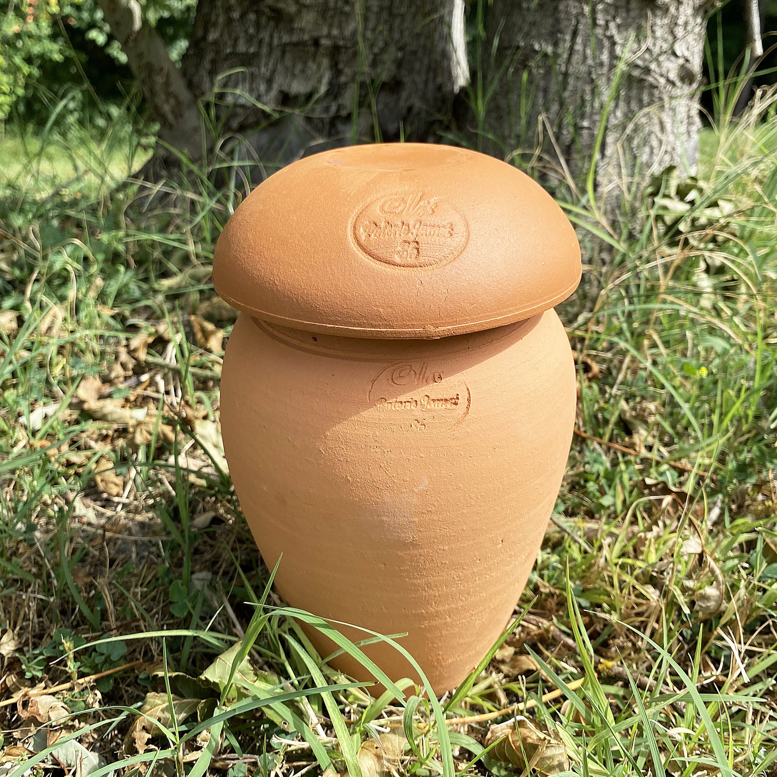 Ollas ORIGIN d’irrigation – 1,5 L – Image 4