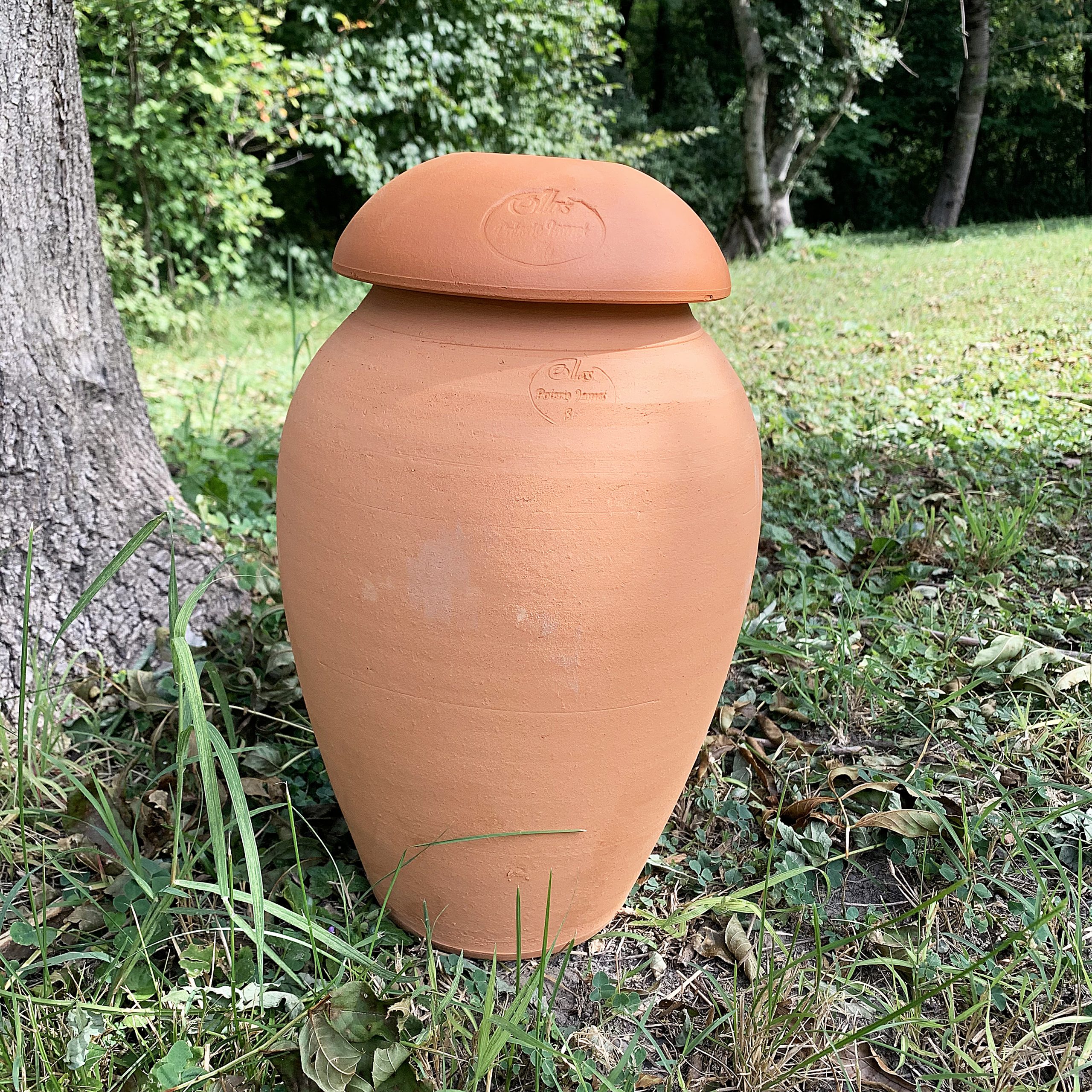 Ollas ORIGIN d’irrigation – 3 L – Image 5