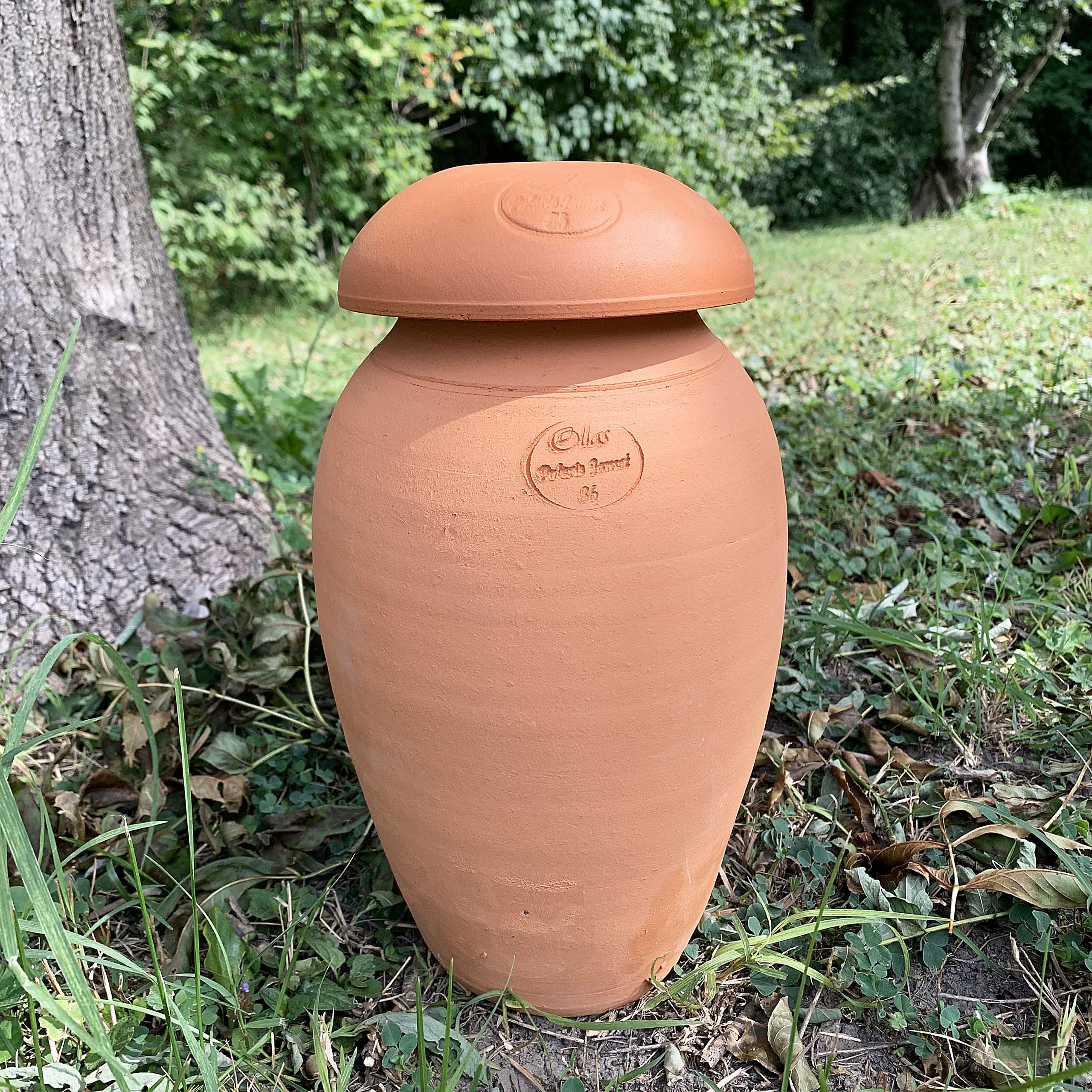 Ollas ORIGIN d’irrigation – 6 L – Image 6