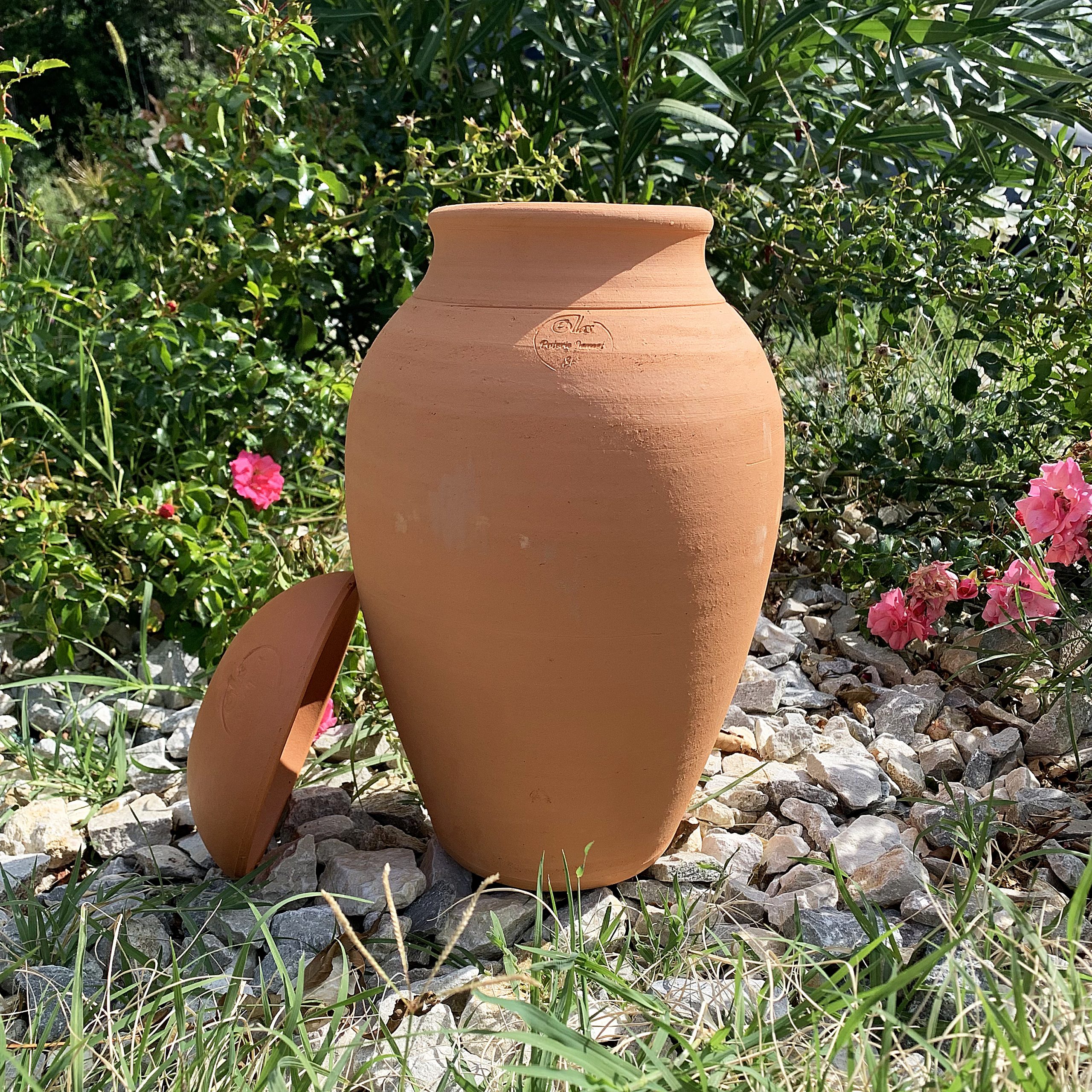 Ollas ORIGIN d’irrigation – 6 L – Image 2