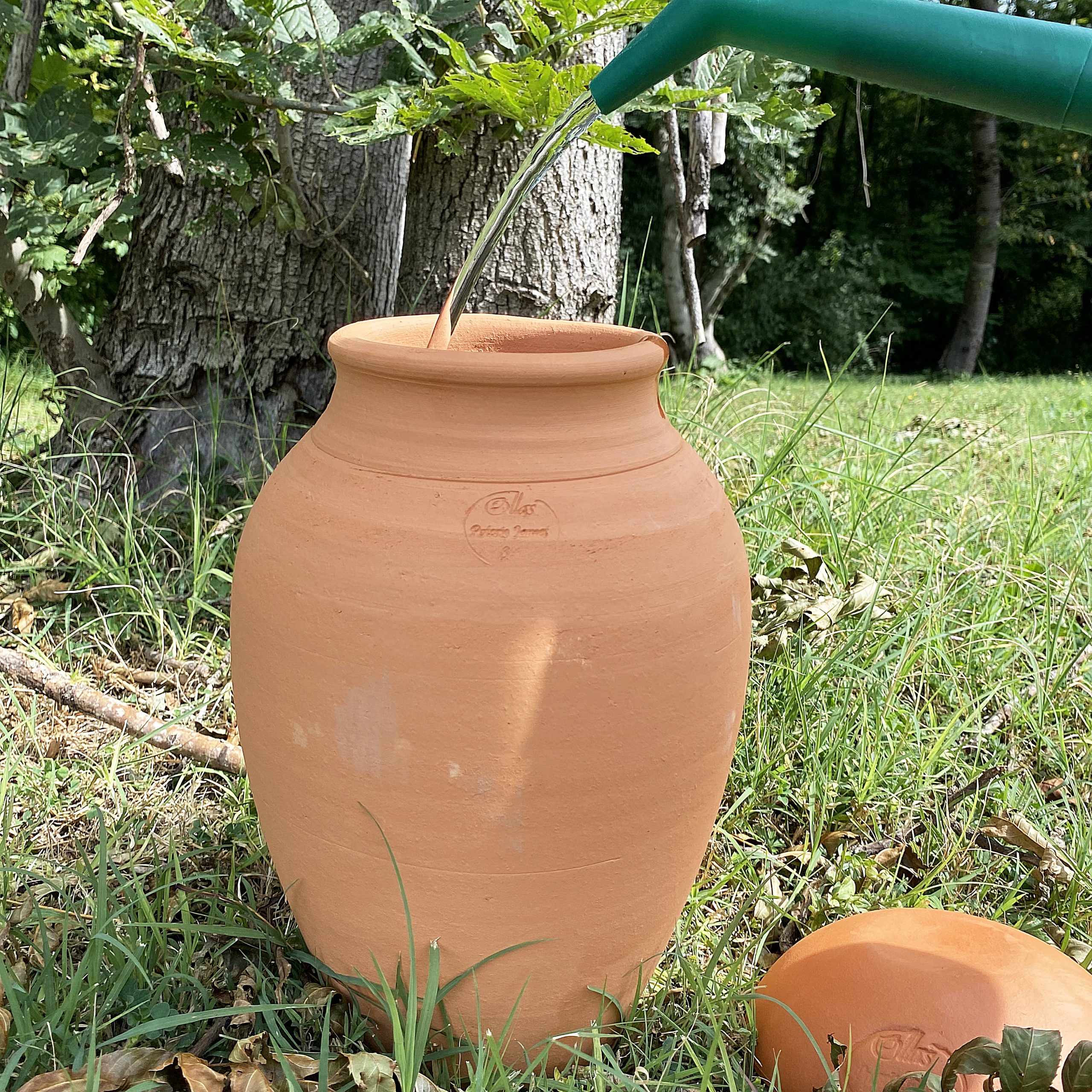 Ollas ORIGIN d’irrigation – 0,5 L – Image 5