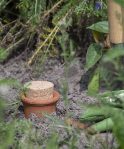 Olla taille XL – 6,5 L