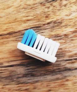 Têtes de recharge brosse à dents (x3) – Lamazuna