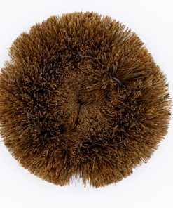 Grattoir vaisselle coco