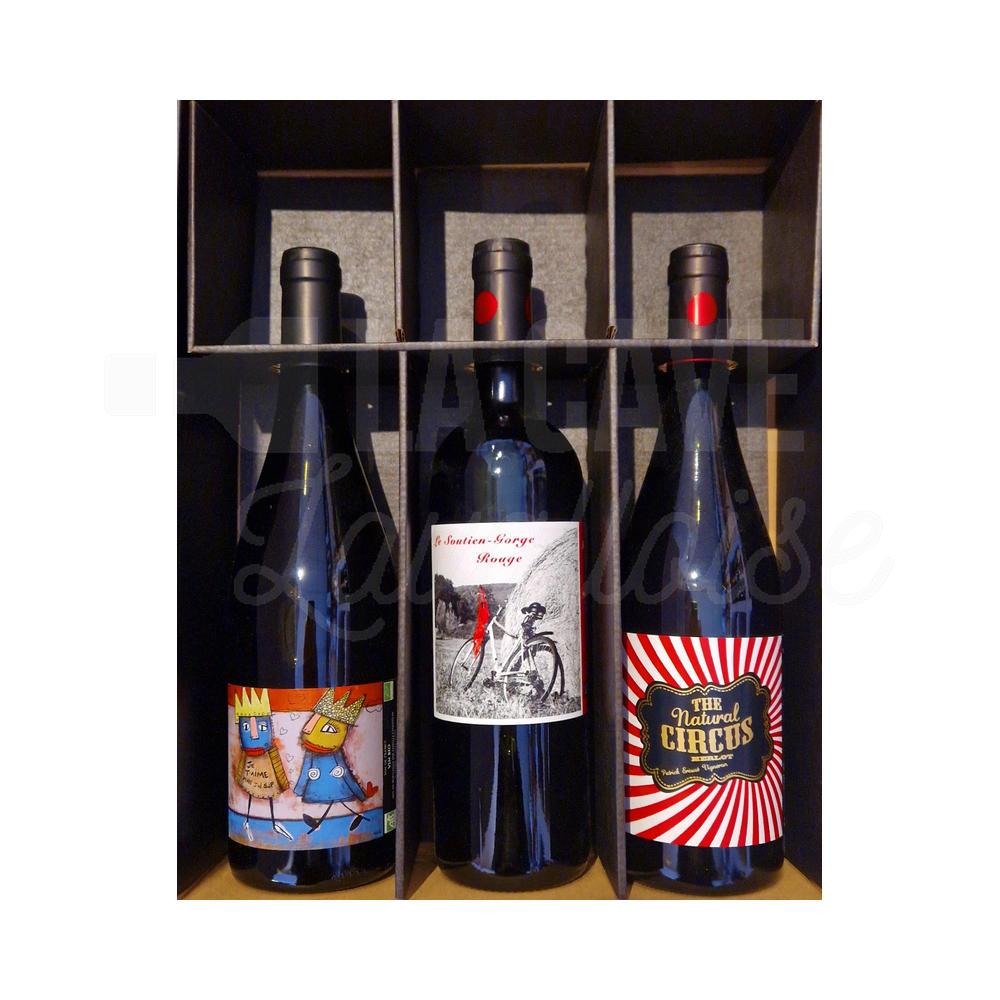 Coffret « VINS ETONNANTS » Rouges – 3 Bouteilles