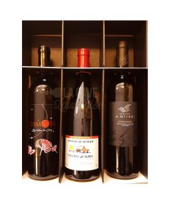Coffret Vins « CARACTERE » Rouges – 3 Bouteilles