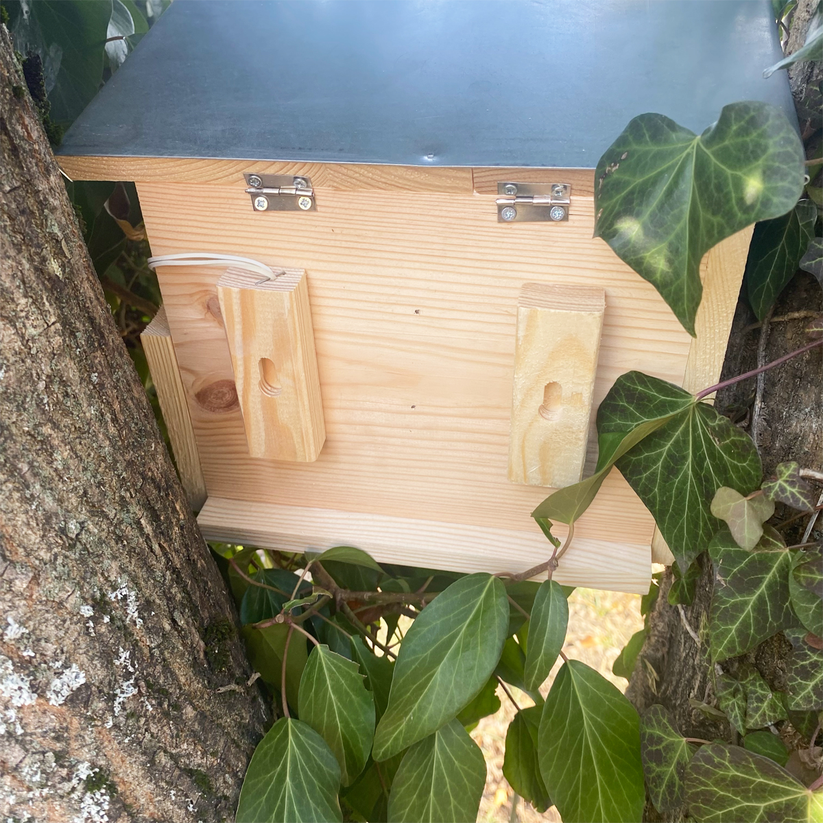 Mangeoire double pour écureuils – Image 5