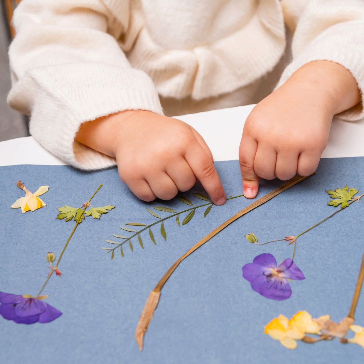 Papier photo solaire A5 – Image 2