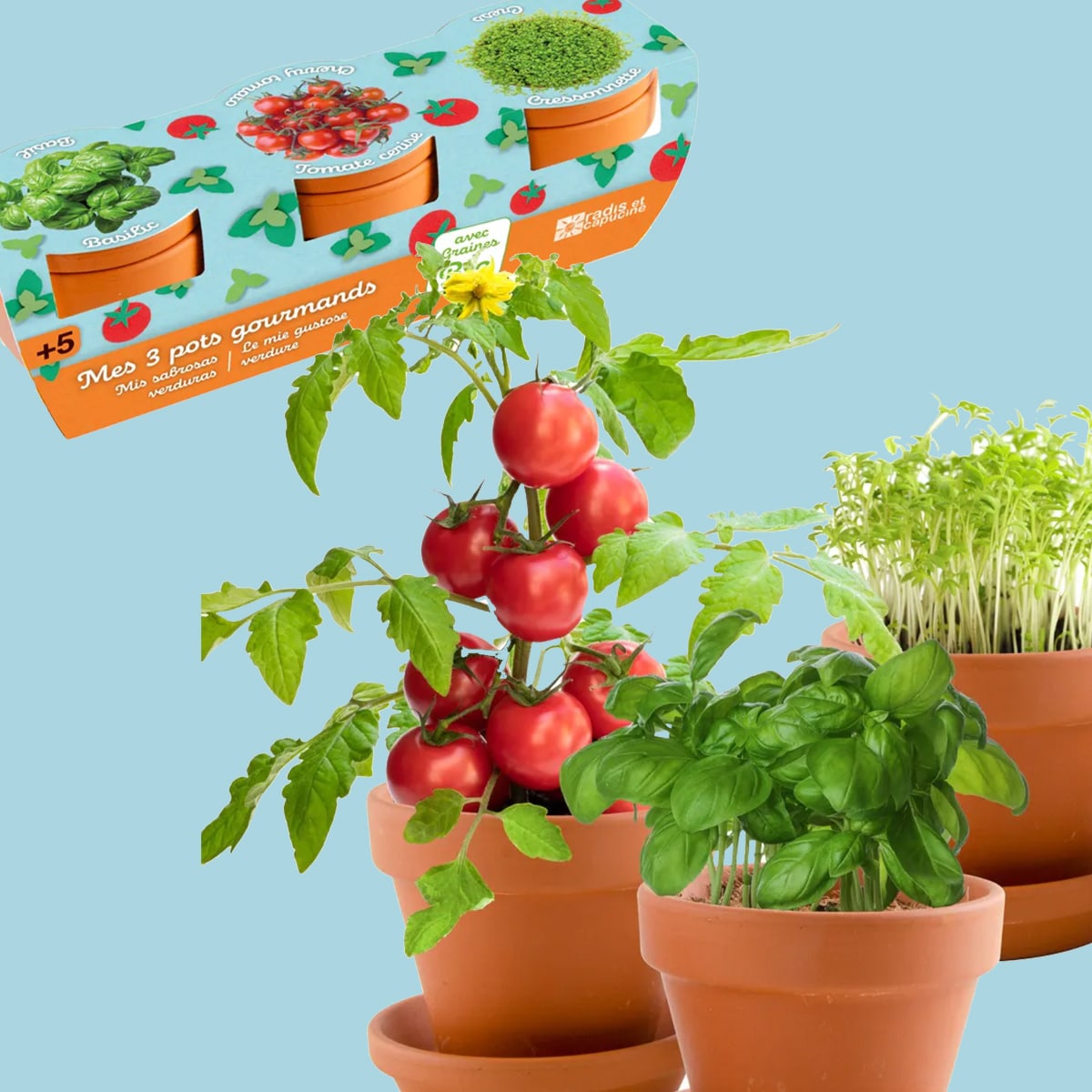 Coffret : Trio de pots gourmands