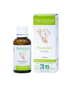 FRAMBOISIER GEMMO SANS ALCOOL 50ML