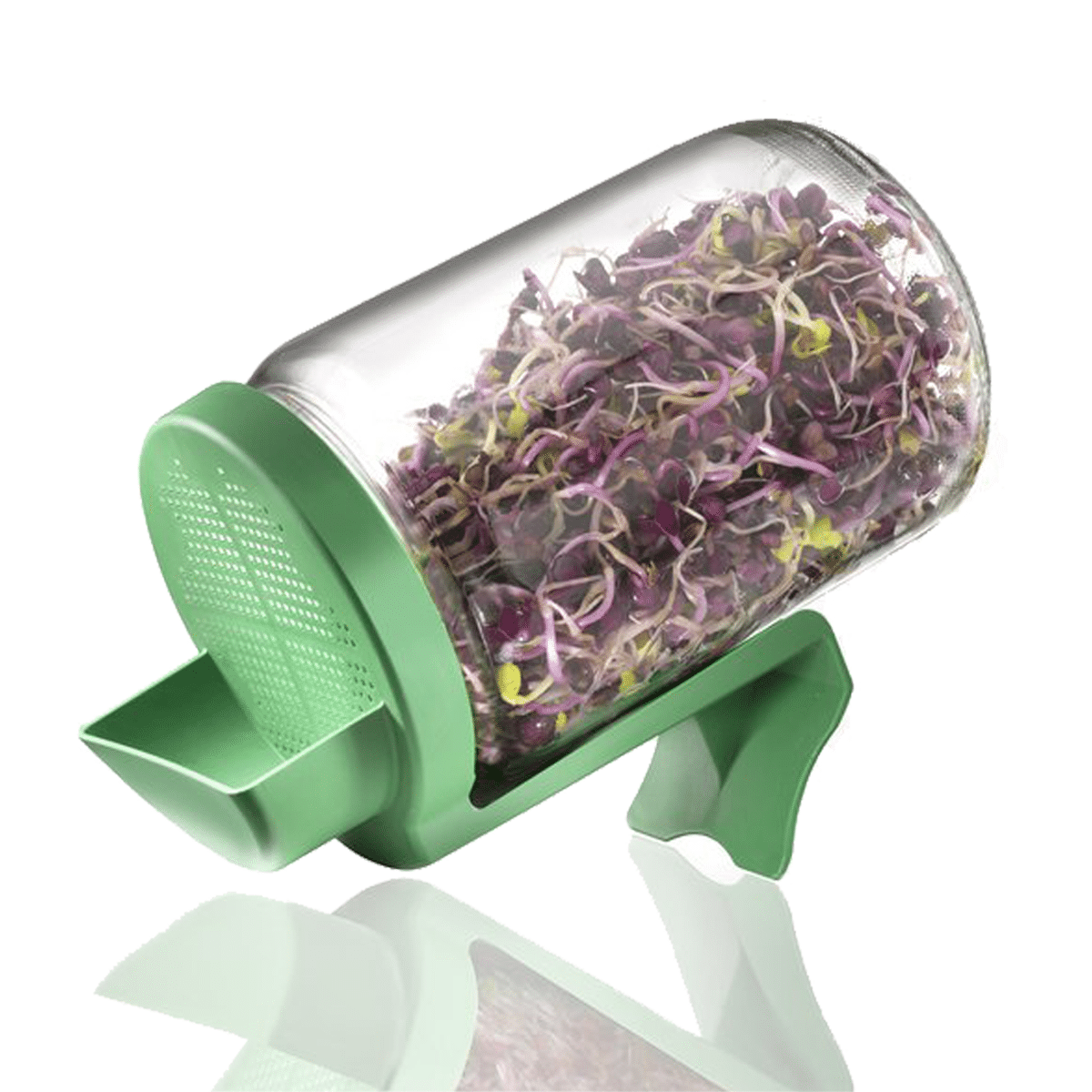 Germoir bocal – Image 4