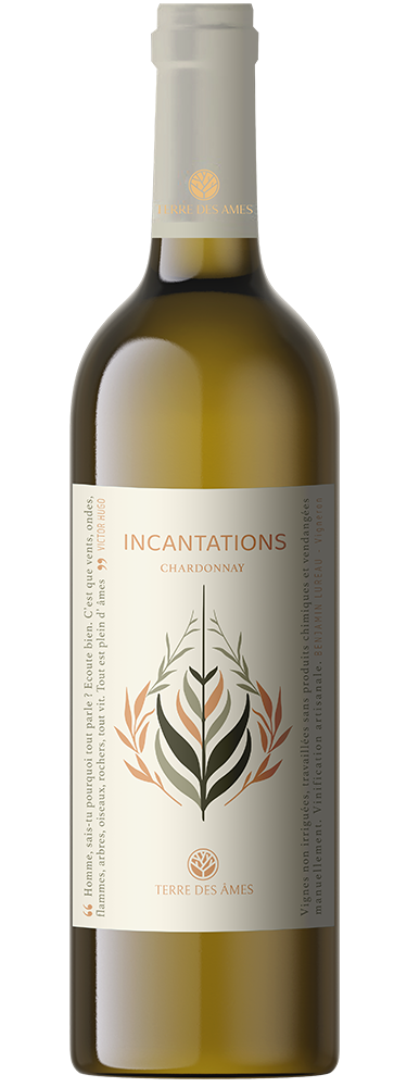 Terre des Ames Cuvee Incantations Blanc 2023 (Languedoc)