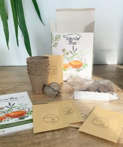 Coffret : Je fais pousser mes thés du monde BIO