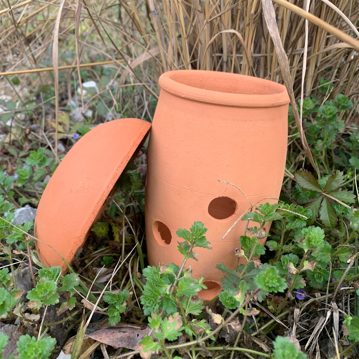 Lombricomposteur à enterrer – 1,8 L – Image 2