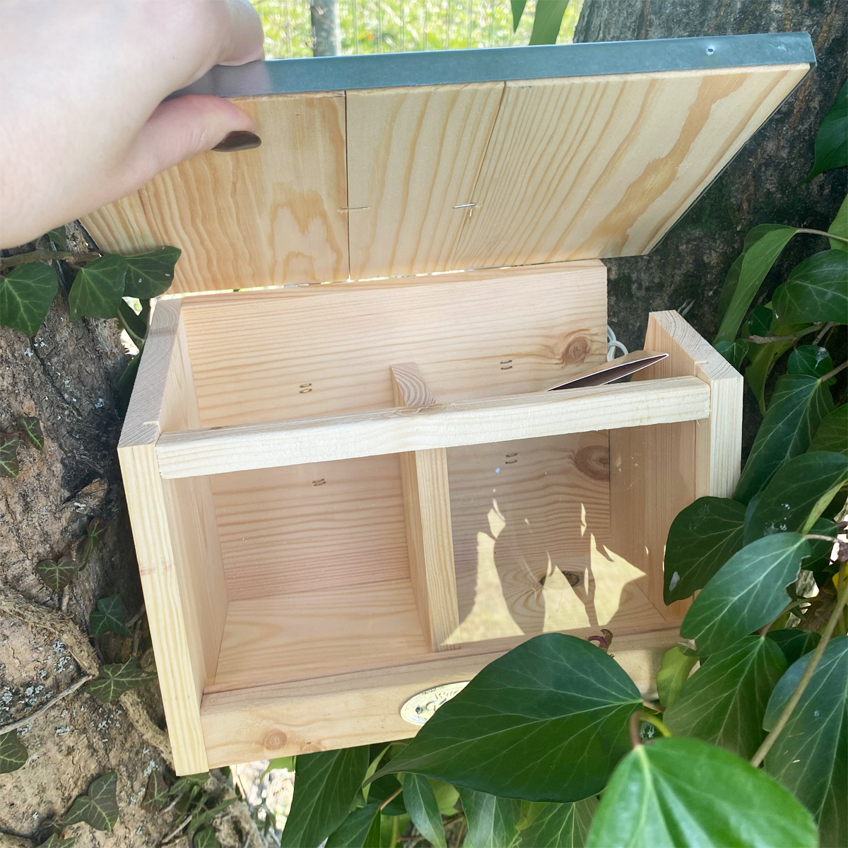 Mangeoire double pour écureuils – Image 4