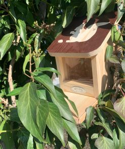 Mangeoire pour écureuils – Pochoir