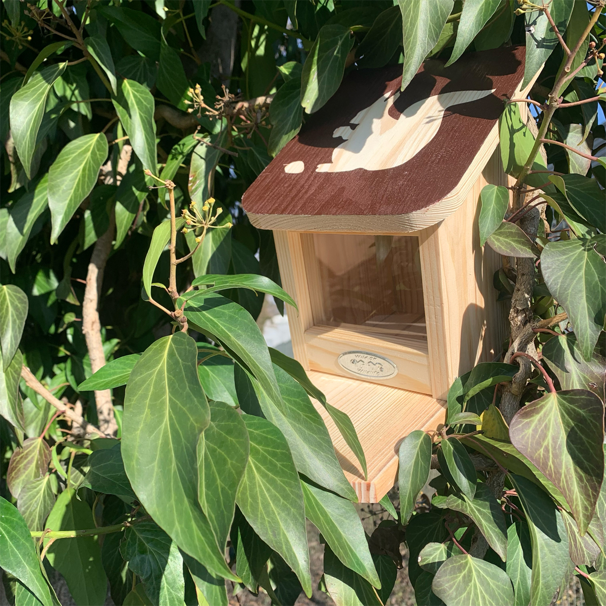 Mangeoire pour écureuils – Pochoir