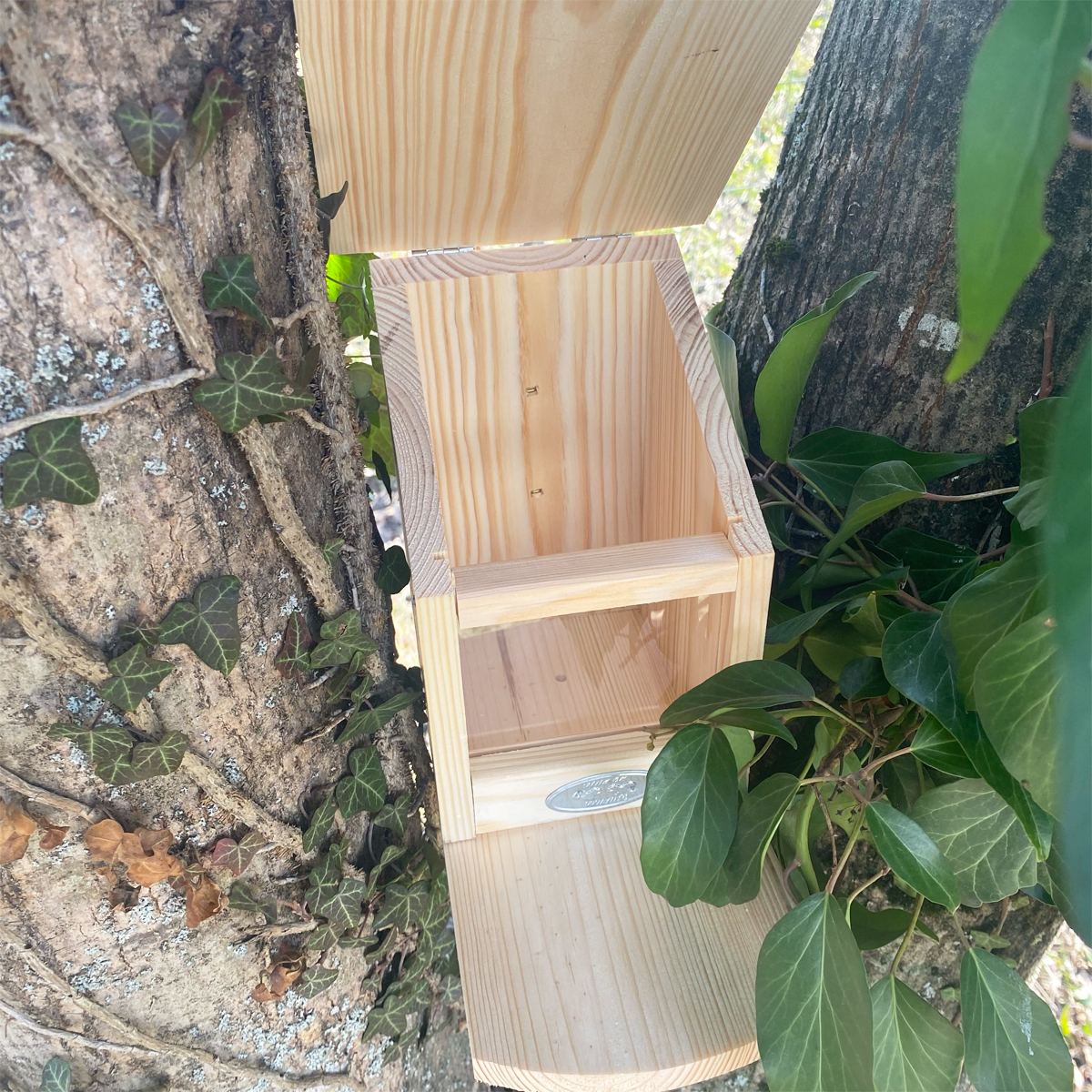 Mangeoire pour écureuils – Pochoir – Image 2