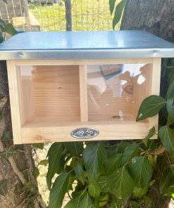 Mangeoire double pour écureuils