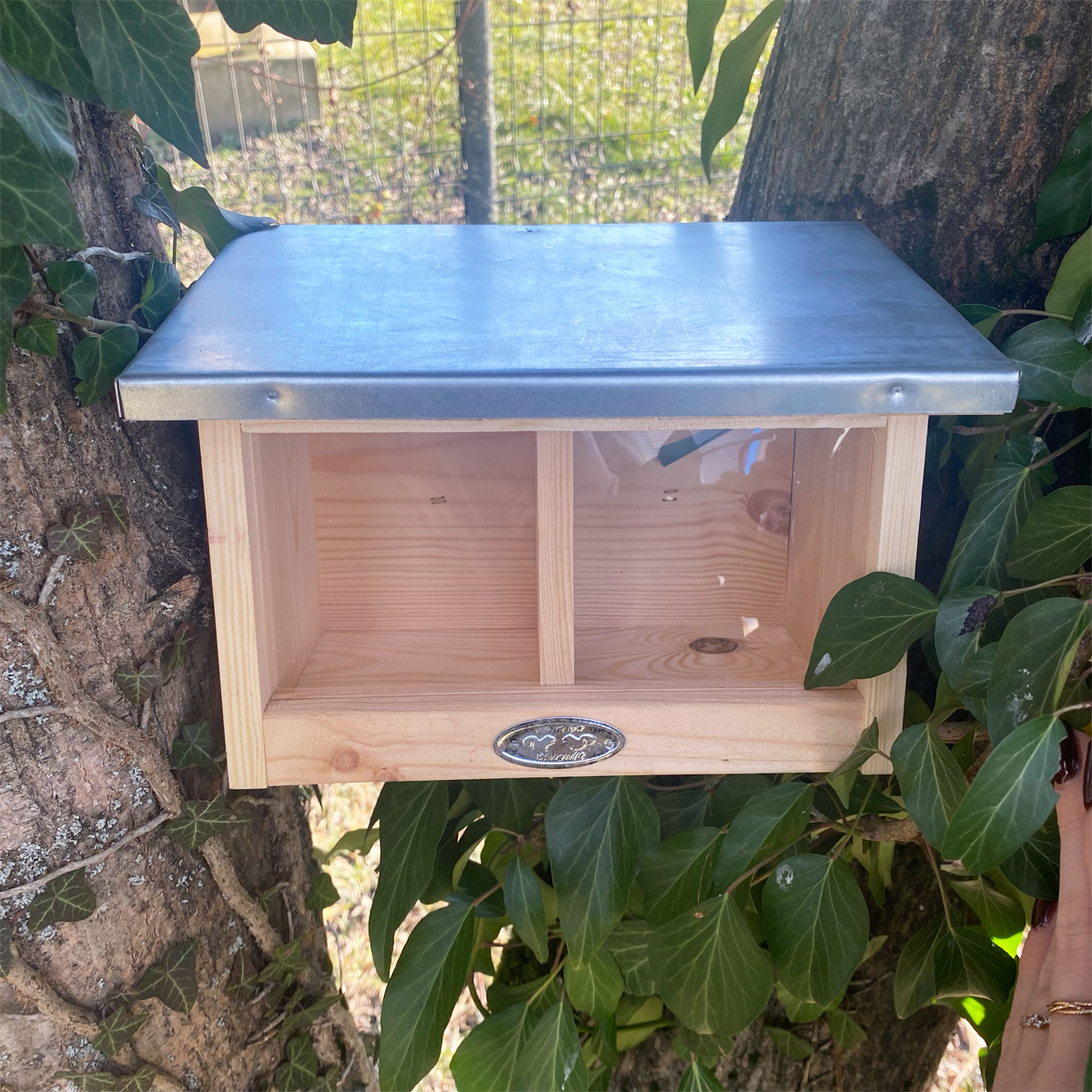 Mangeoire double pour écureuils – Image 2