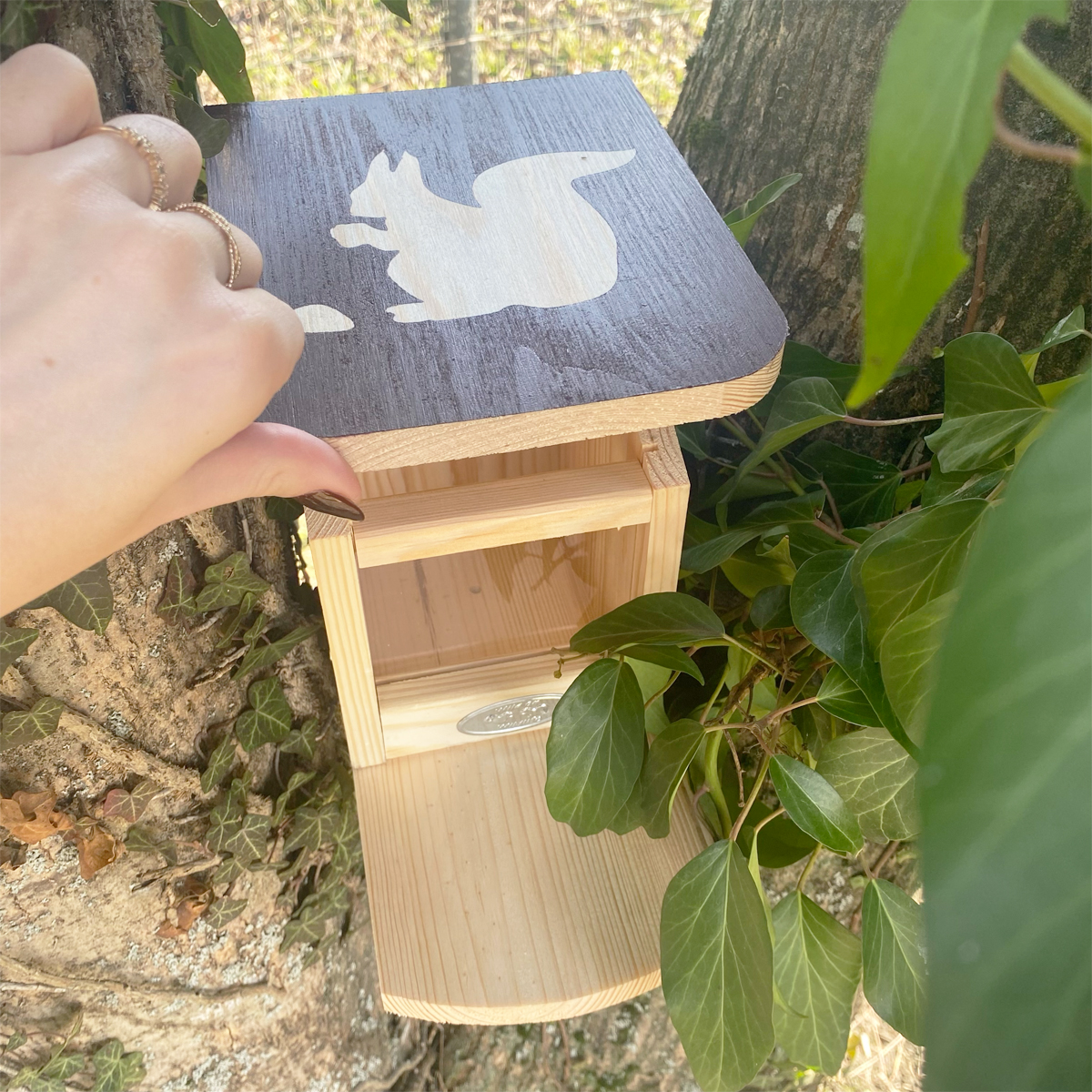 Mangeoire pour écureuils – Pochoir – Image 4