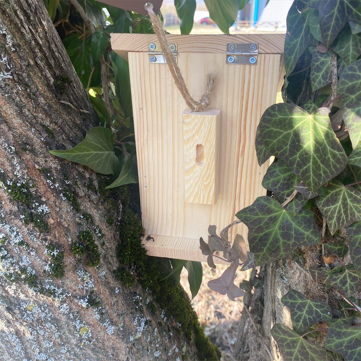 Mangeoire pour écureuils – Pochoir – Image 5