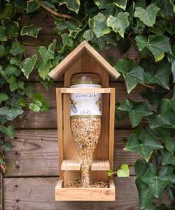 Kit mangeoire bouteille de vin + graines