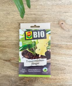 5 pièges collants à sciarides, mouches et moucherons