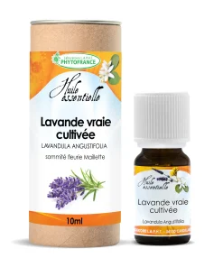 Huile Essentielle Lavande Aspic Bio