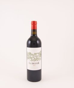 Bordelais Côtes de Bordeaux Castillon 2019