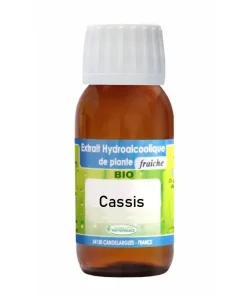 Teinture mère Cassis Bio