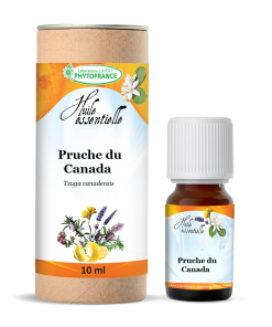 Huile essentielle Pruche du Canada Bio