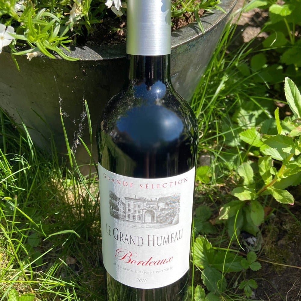 Le Grand Humeau Rouge 2020 75 cL – Image 2