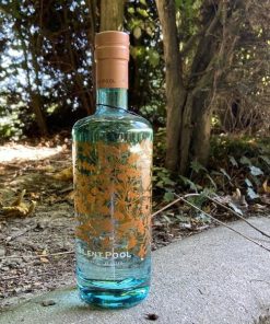 Gin Silent Pool 70 cL