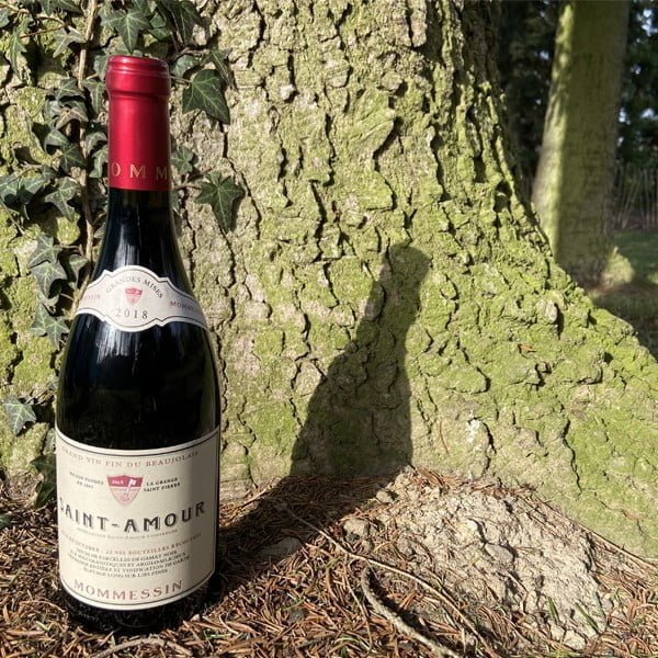 Saint Amour 2022 Les Grandes Mises Mommessin – Image 2