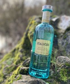 Liqueur Pernod Italicus
