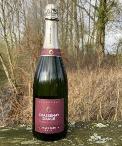 Champagne Chassenay D&rsquo;Arce Cuvée Selection Brut