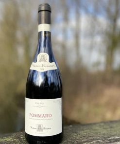 Nuiton Beaunoy Pommard 2019