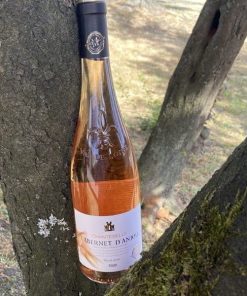 Cabernet D &lsquo;Anjou Chantebelle Rosé 2023