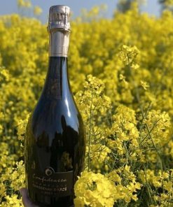 Champagne Chassenay D&rsquo;Arce Confidences Brut