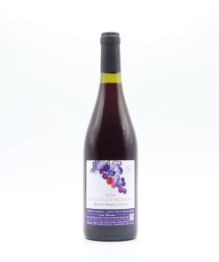 Beaujolais Nouveau Jean Paul Brun