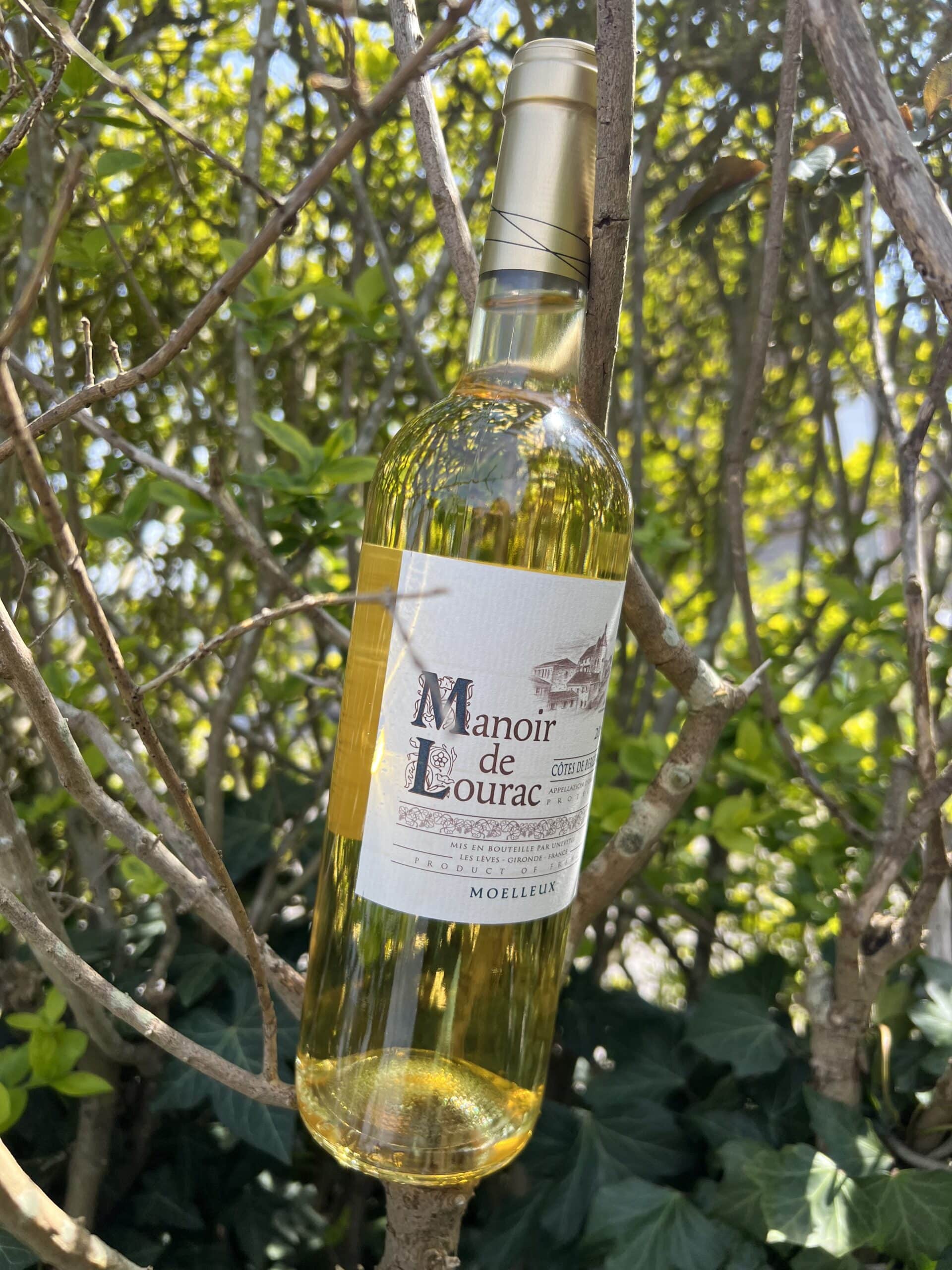 Manoir de Lourac 2016