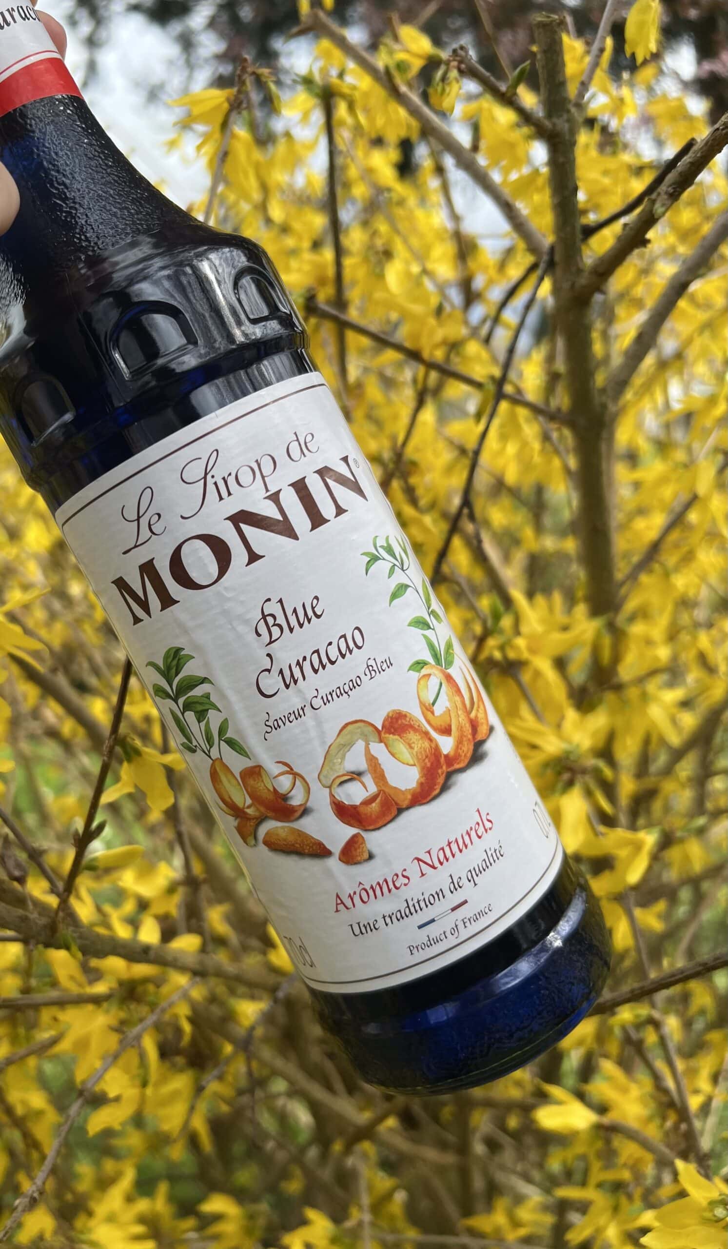 Sirop Monin Blue Curacao 70cL