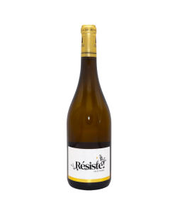 Vin blanc « Résiste » Château du Bluizard cépages résistants
